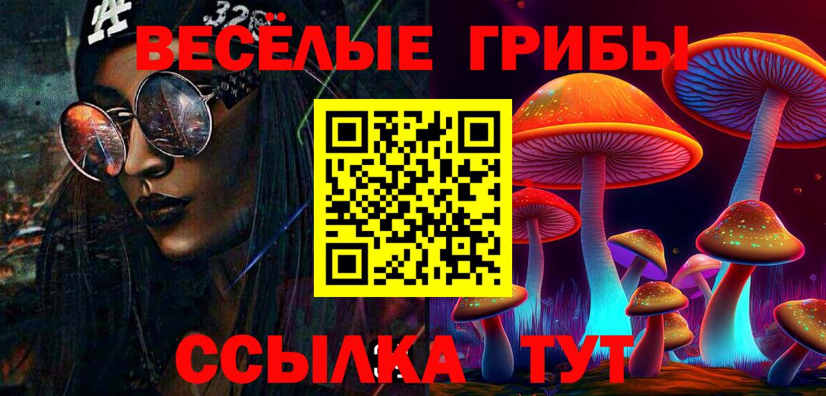 Галлюциногенные грибы Psilocybe Новодвинск