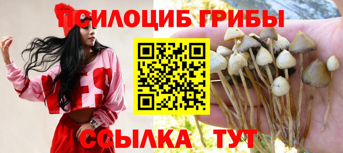 Новодвинск  Галлюциногенные грибы Magic Shrooms  Галлюциногенные грибы мухоморы  продажа наркотиков  Вход с VPN 